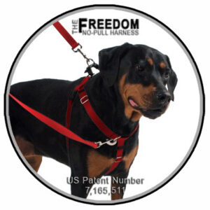 Freedom No Pull Harness