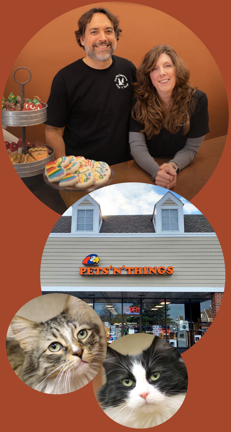 John and Beth Lebert, Pets 'n' Things storefront, Leo and Luna the cats