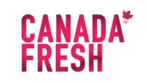 Canada Fresh jazzy